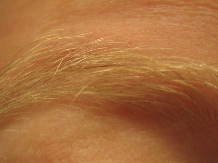 ana.words, modisches gewaechs