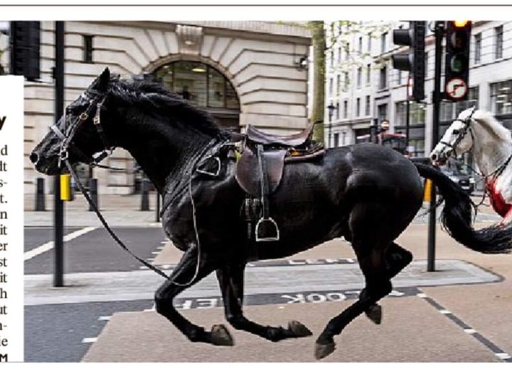 ana.words, roessliriite by eriz