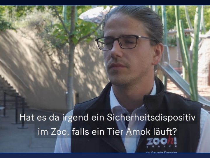 ana.words, die amokfrage