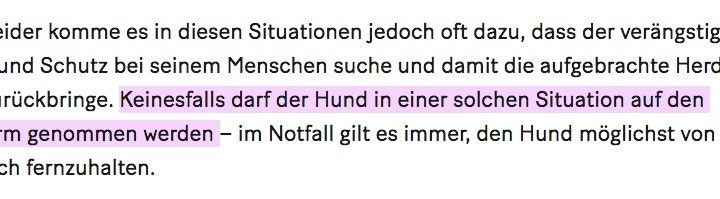 ana.words, hunde verarschen