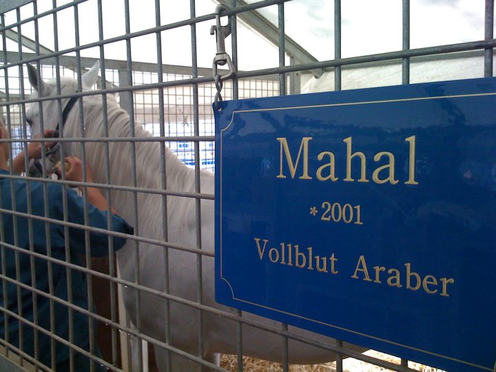 ana.words, mahal ist im bild