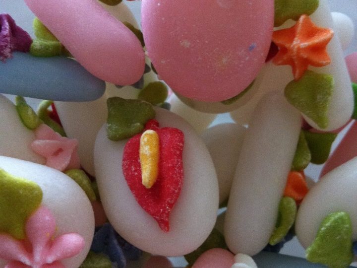 ana.words, zuckermuschi